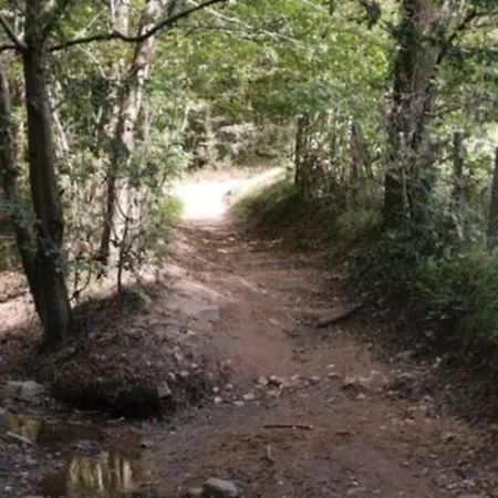 Konukevi Les Roches D'yzeron 3*