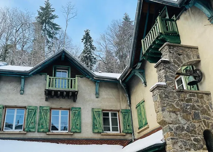 Πανσιόν Les Roches D'yzeron 3*