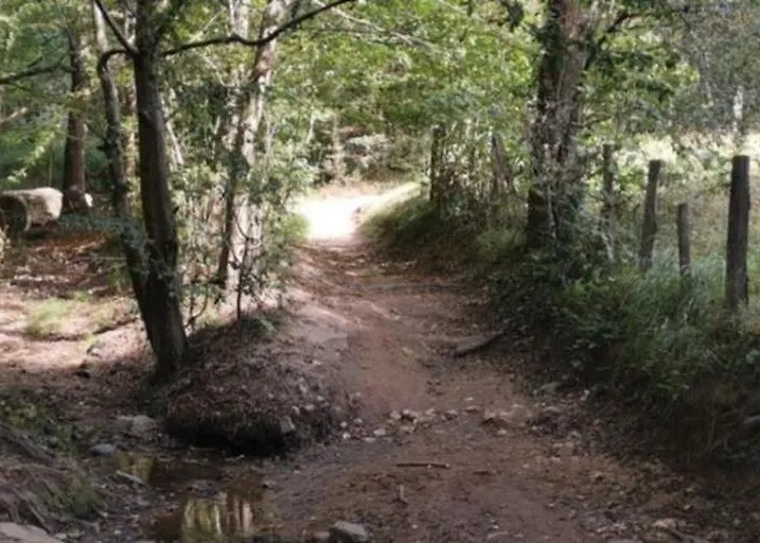 Πανσιόν Les Roches D'yzeron 3*